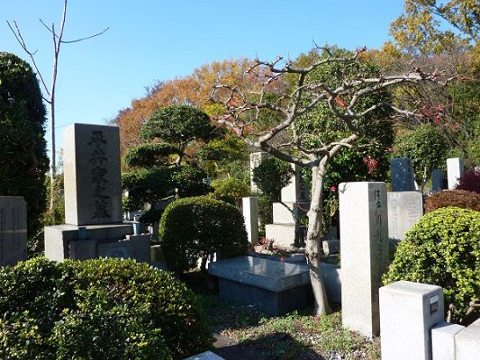 江戸川乱歩のお墓の光景